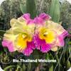 Rlc. Thailand Welcome